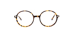 Clearly Glasses KALYKE