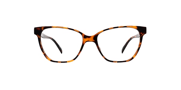 Clearly Glasses GANNET