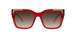 Clearly Sunglasses HARBOUR