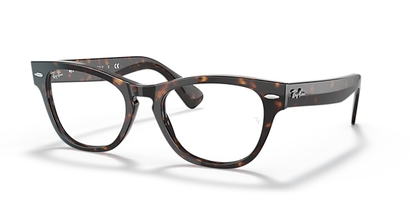 Ray-Ban Glasses RB2201V LARAMIE OPTICS
