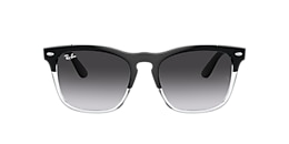 Ray-Ban Sunglasses RB4487 STEVE