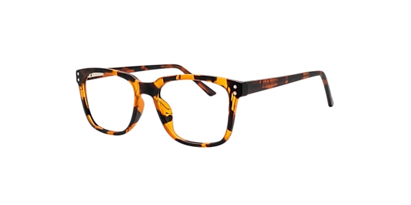 Clearly Glasses SALIX
