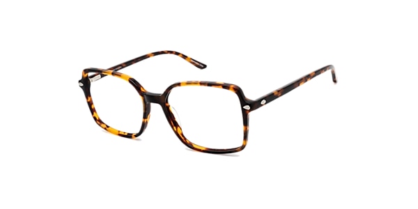 Clearly Glasses CHARLOTTE
