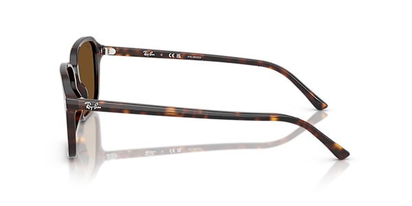 Ray-Ban Sunglasses RB2231 RAIMOND