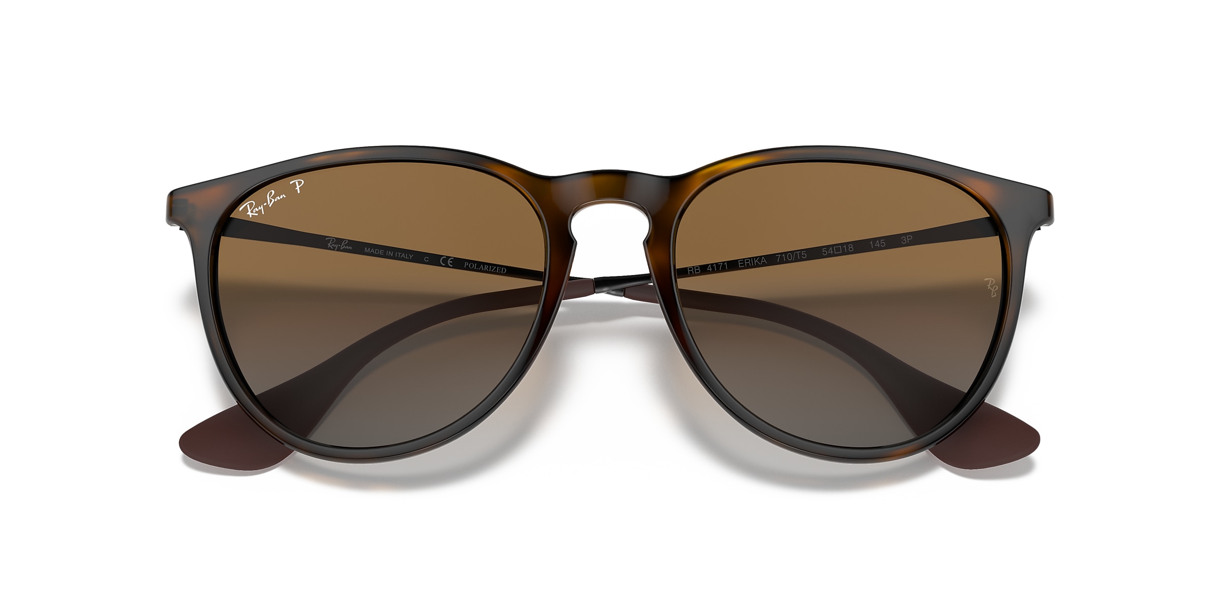 Ray-Ban Sunglasses RB4171 ERIKA CLASSIC