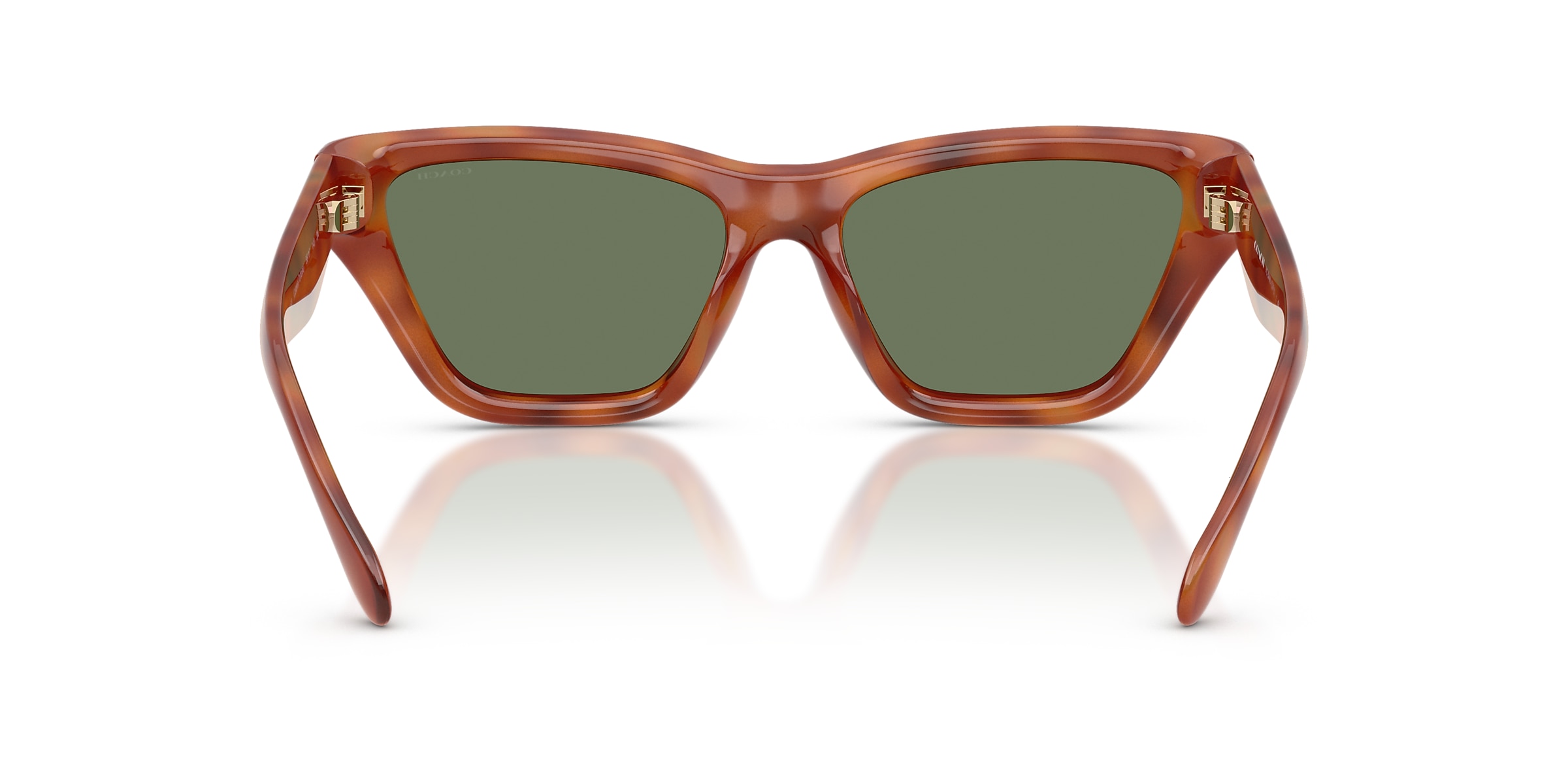 Coach Sunglasses HC8449U CDP33