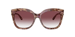 Coach Sunglasses HC8264 L1083
