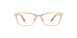 Clearly Glasses DELPHINUS