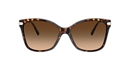 Coach Sunglasses HC8316 C3446