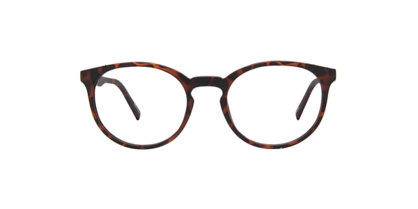 Clearly Glasses CURRASOW