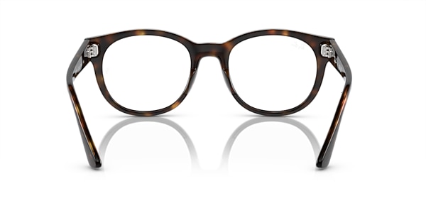 Ray-Ban Glasses RB7227 OPTICS