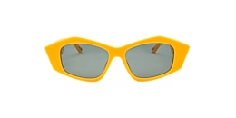 Clearly Sunglasses BRUSHES