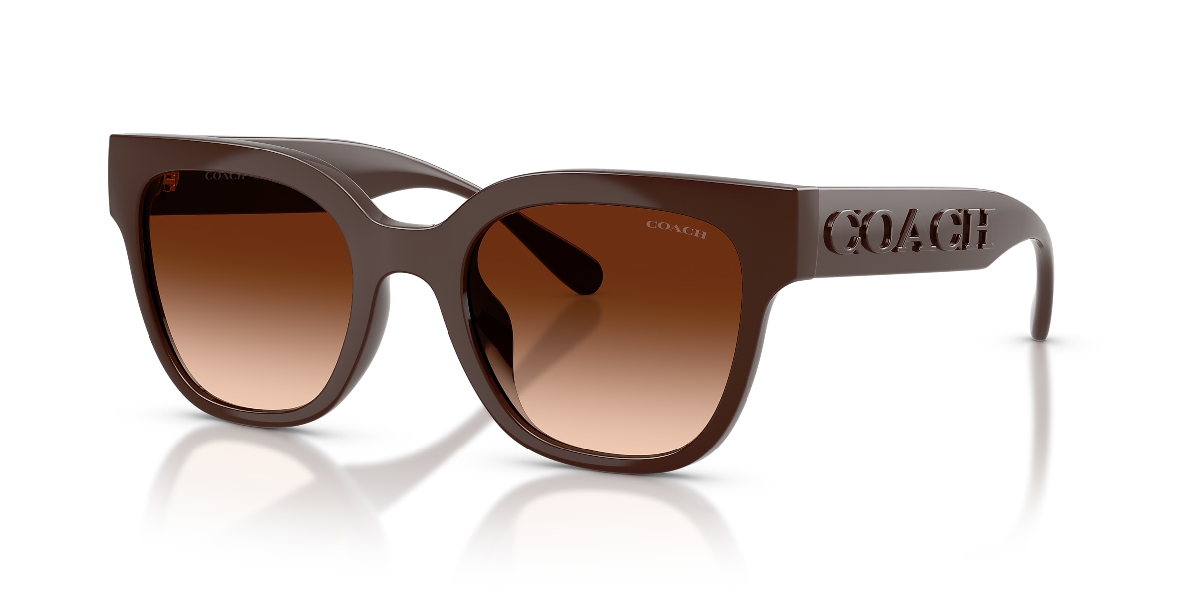 Coach Sunglasses HC8460U CFT88