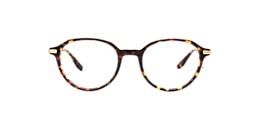 Clearly Glasses FEITOSA