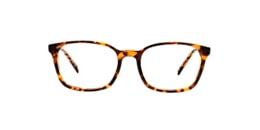 Clearly Glasses TARVOS