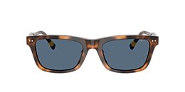 Polo Ralph Lauren Sunglasses PH4240U