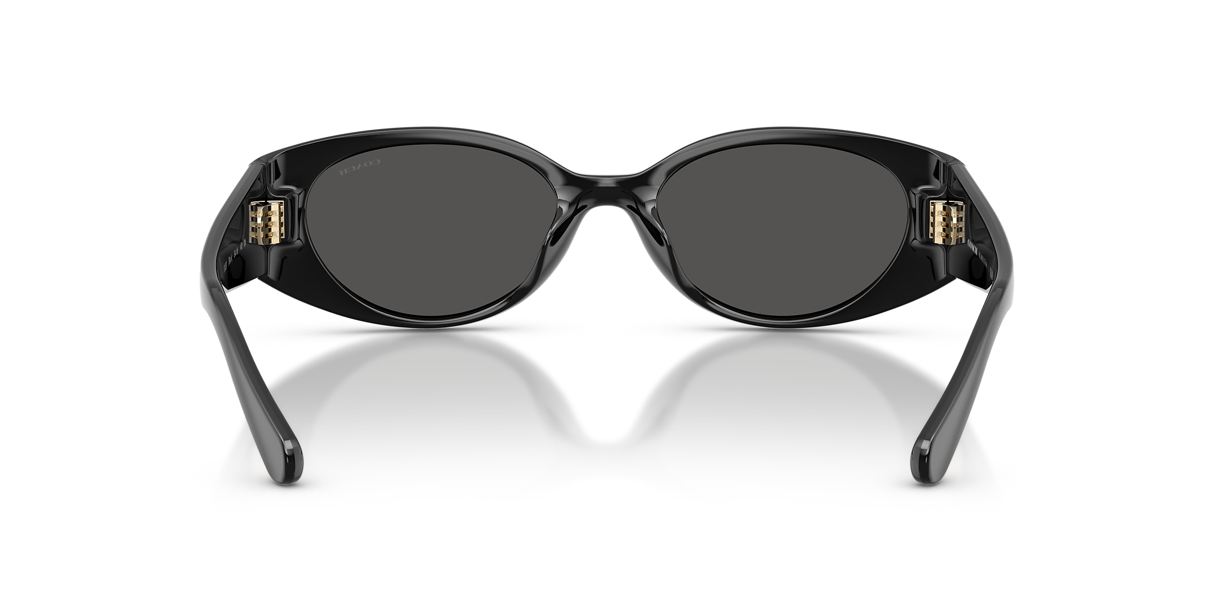 Coach Sunglasses HC8462U CFU06