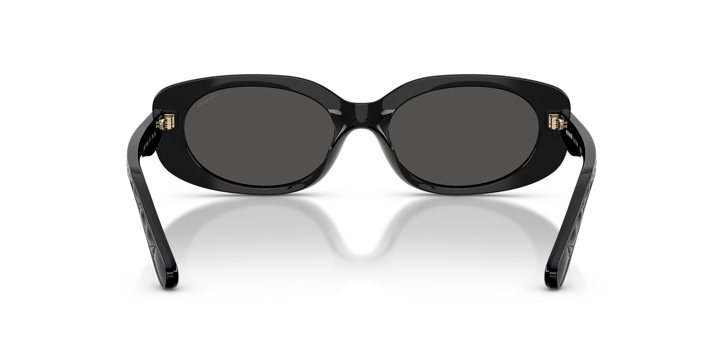 Coach Sunglasses HC8443D CBY84