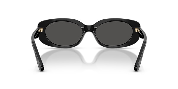 Coach Sunglasses HC8443D CBY84