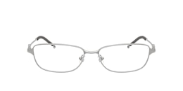 Diesel Glasses DL5002