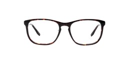 Clearly Glasses KISH