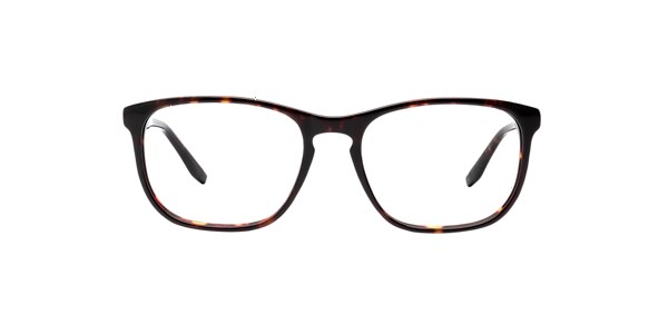 Clearly Glasses KISH