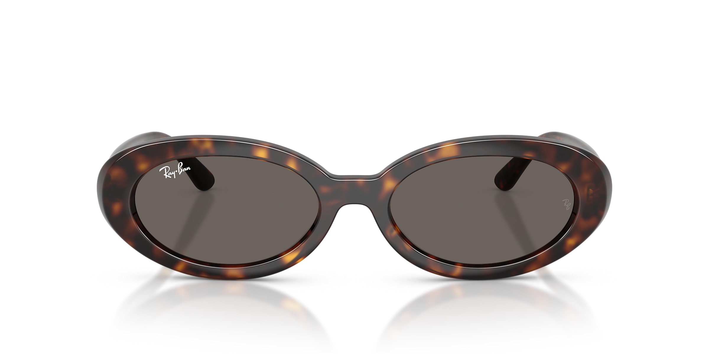 Ray-Ban Sunglasses RB2223