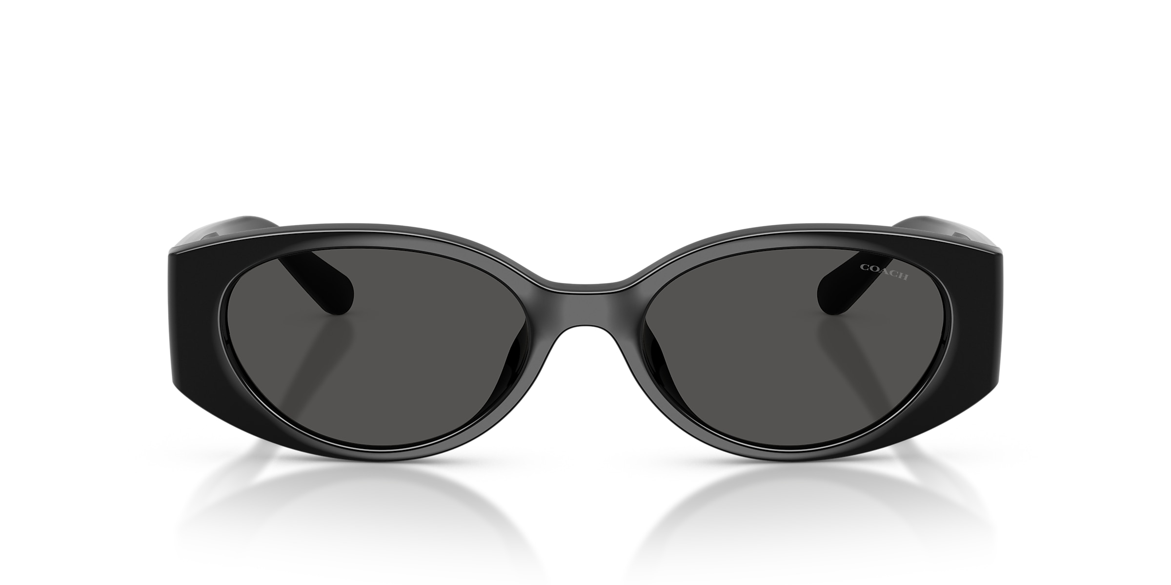 Coach Sunglasses HC8462U CFU06