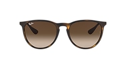 Ray-Ban Sunglasses RB4171 ERIKA CLASSIC