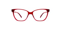 Clearly Glasses GANNET