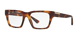 Gucci Glasses GG1889O
