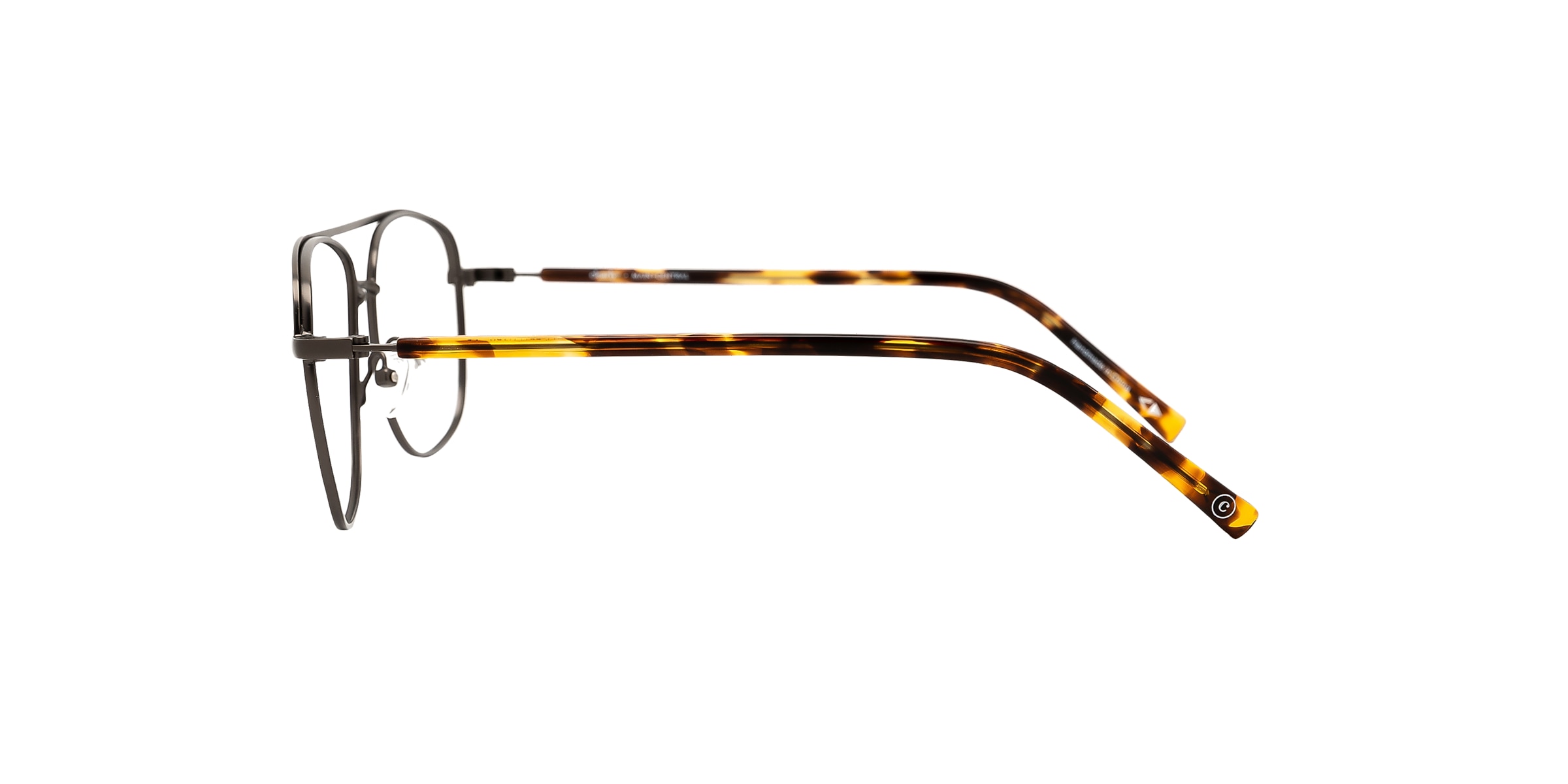 Clearly Glasses TANGORIN