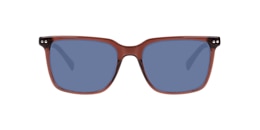 Clearly Sunglasses ARUN