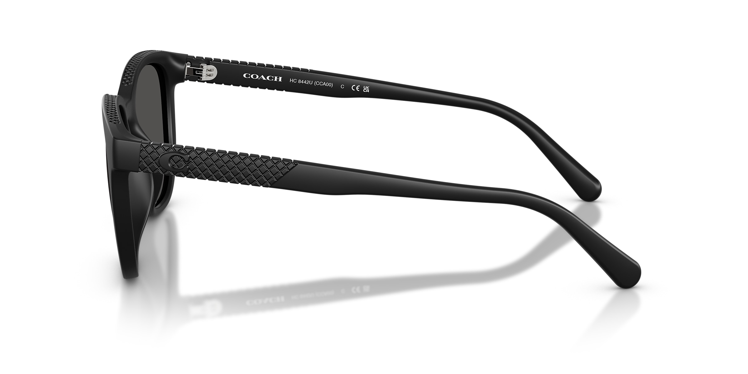 Coach Sunglasses HC8442U CCA00