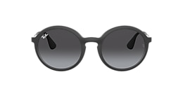 Ray-Ban Sunglasses RB4222
