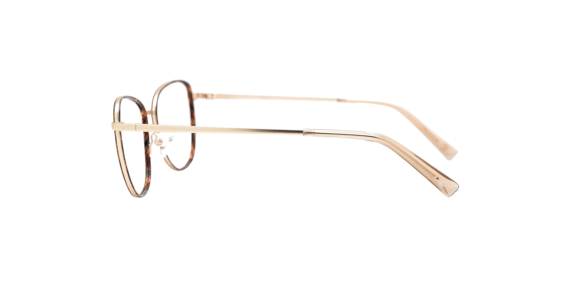 Clearly Glasses SPONDE