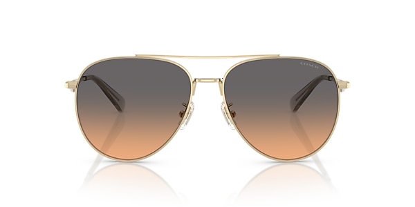 HC7169 CW193