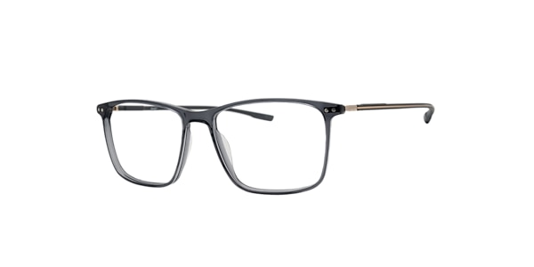Clearly Glasses NEUTRON