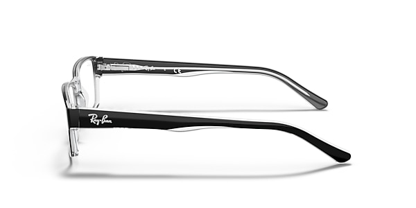 RB5169 OPTICS