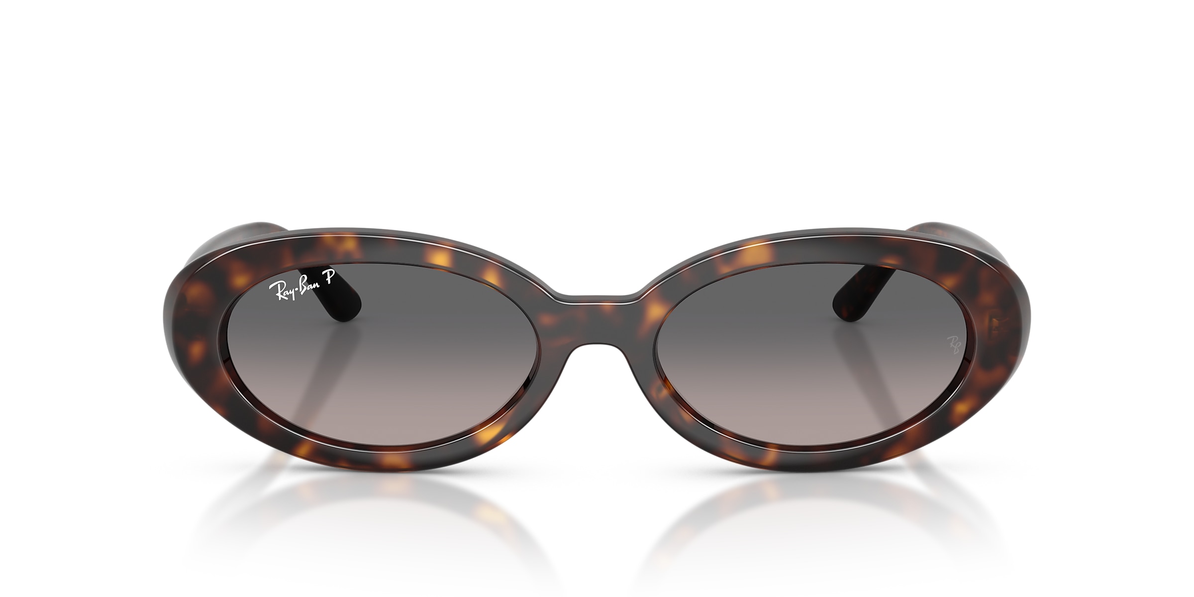 Ray-Ban Sunglasses RB2223