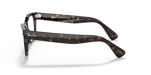 Ray-Ban Glasses RB2201V LARAMIE OPTICS