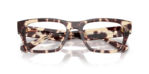 RB5448 OPTICS