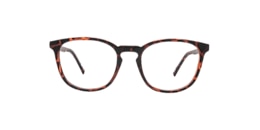 Clearly Glasses MONARCH
