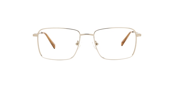 Clearly Glasses STONEWALL