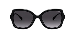 Coach Sunglasses HC8295 L1147