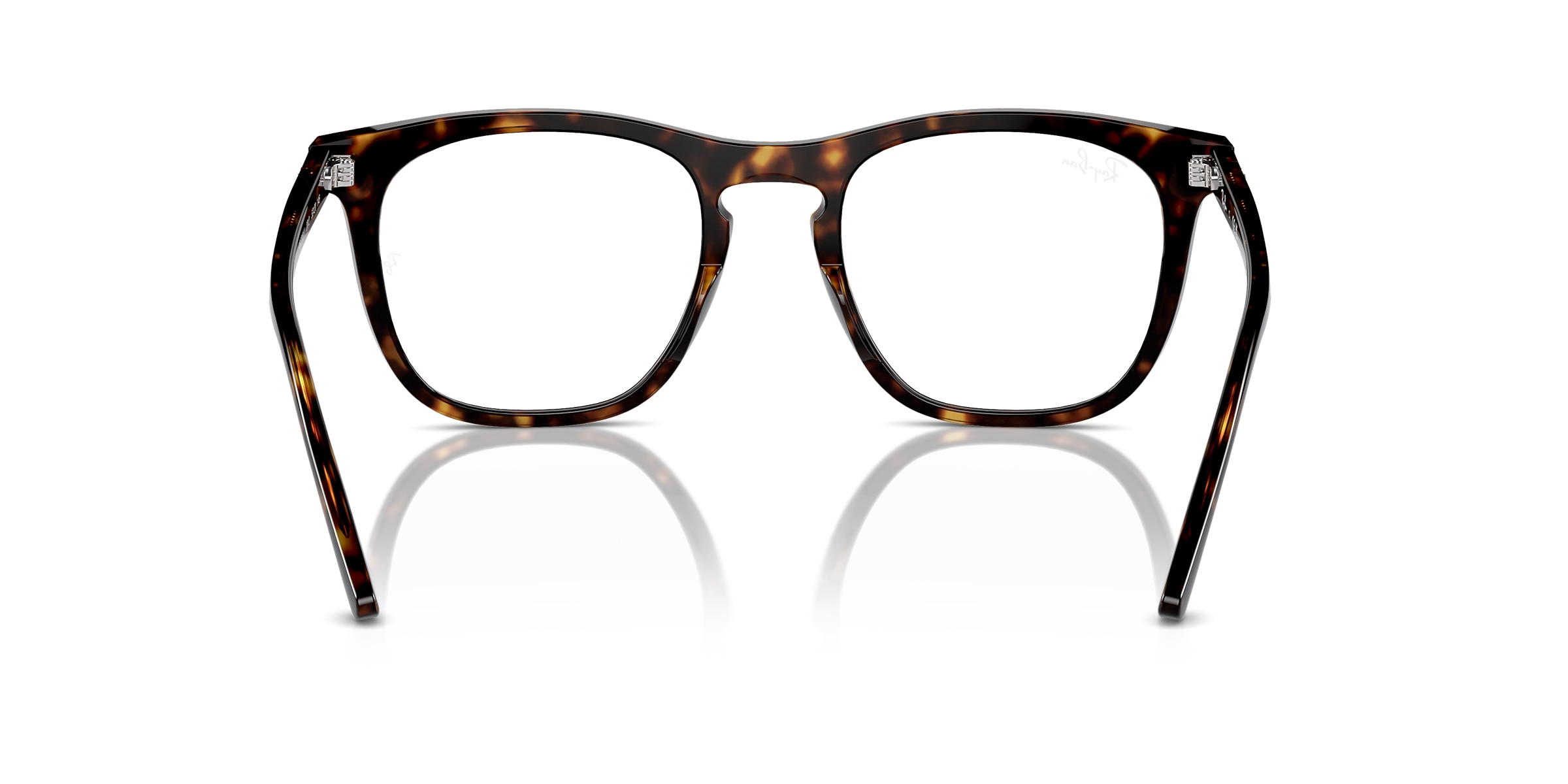 Ray-Ban Glasses RB2210V OPTICS