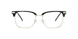 Clearly Glasses CACTUS