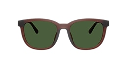 Coach Sunglasses HC8442U CCA00