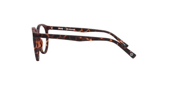 Clearly Glasses OWL