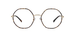 Clearly Glasses EDENITE